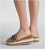 Dway Platform Slide - Image 2